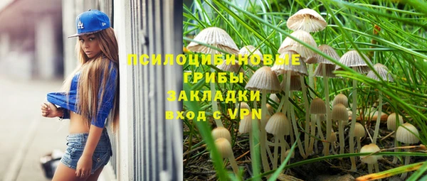 COCAINE Богородск