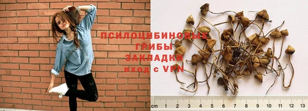 амфетамин Белокуриха